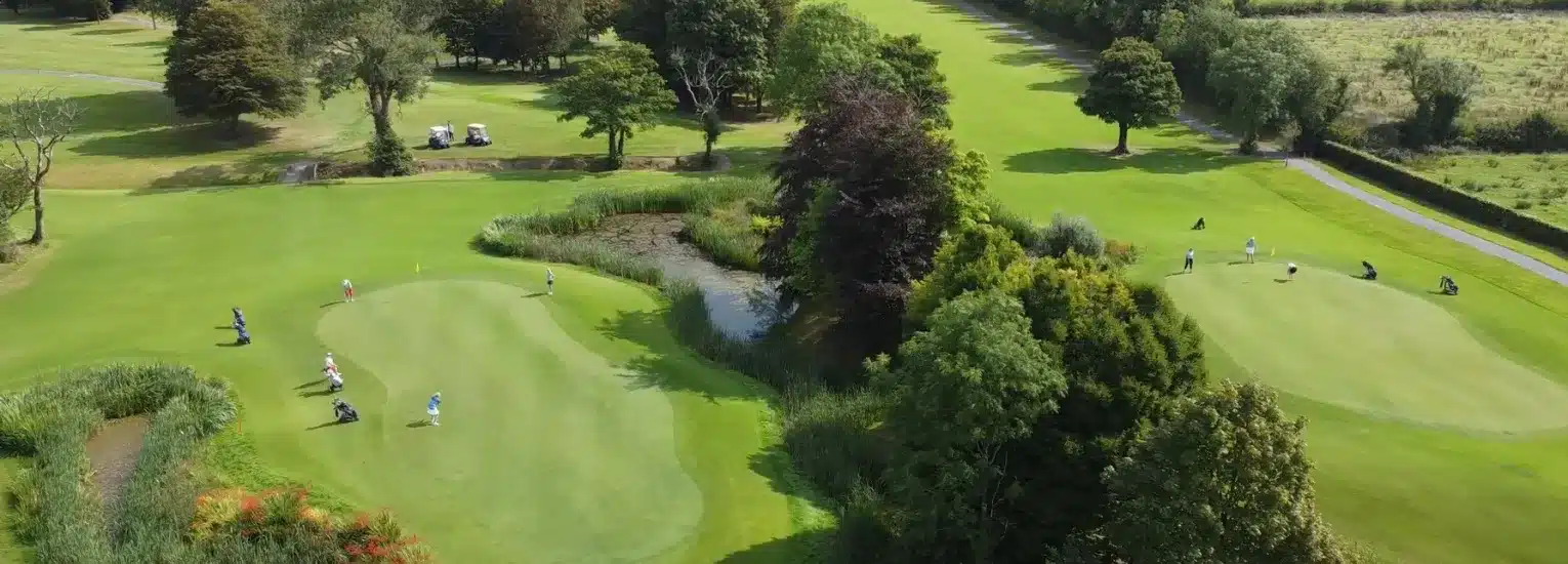 Aerial view of a golf course with two putting greens, several golfers playing, and golf buggies parked near trees; lush green grass and surrounding trees are visible.
